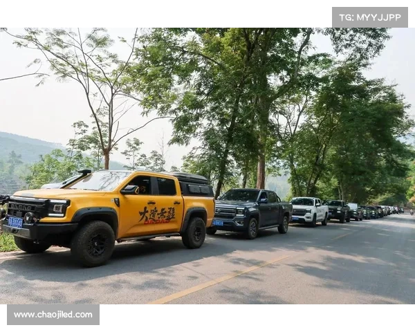 买皮卡总绕不开一台猛禽？江铃大道说NO！